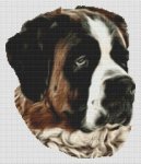 (image for) St. Bernard Grace